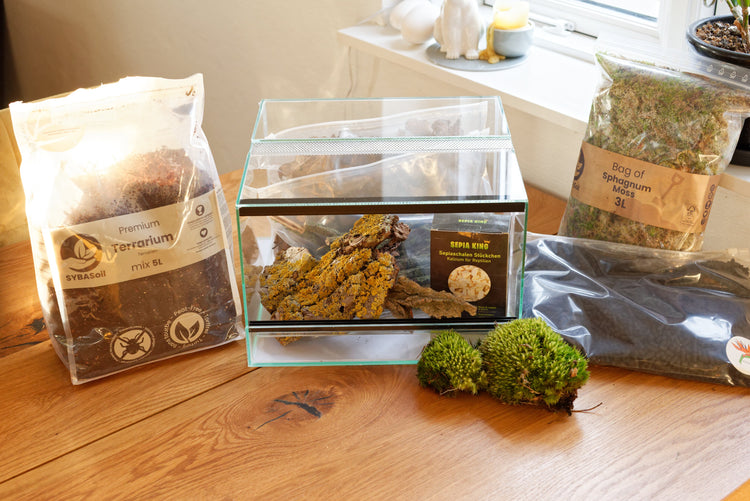 Flotte visne blade til terrariet