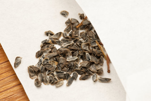 Frø af Spættet Cape aloe (Aloe microstigma) i lille hvid papirspose