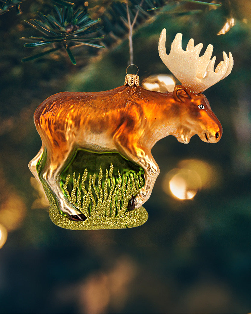 Elch (Weihnachtsball) – a Piece of Nature