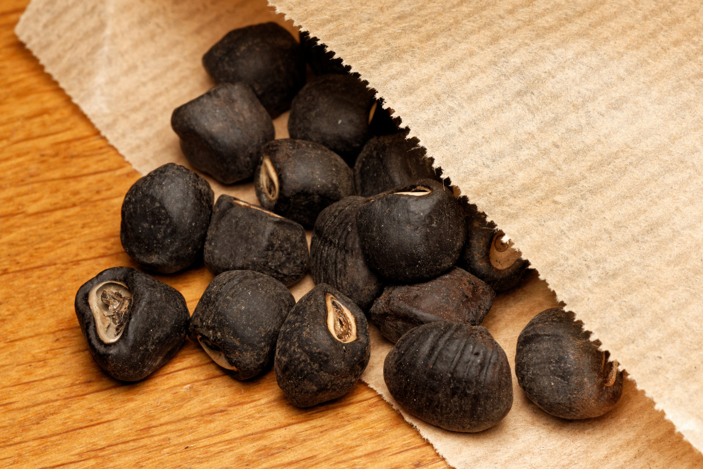 De flotte og sjove frø fra Snebanan (Ensete glaucum)