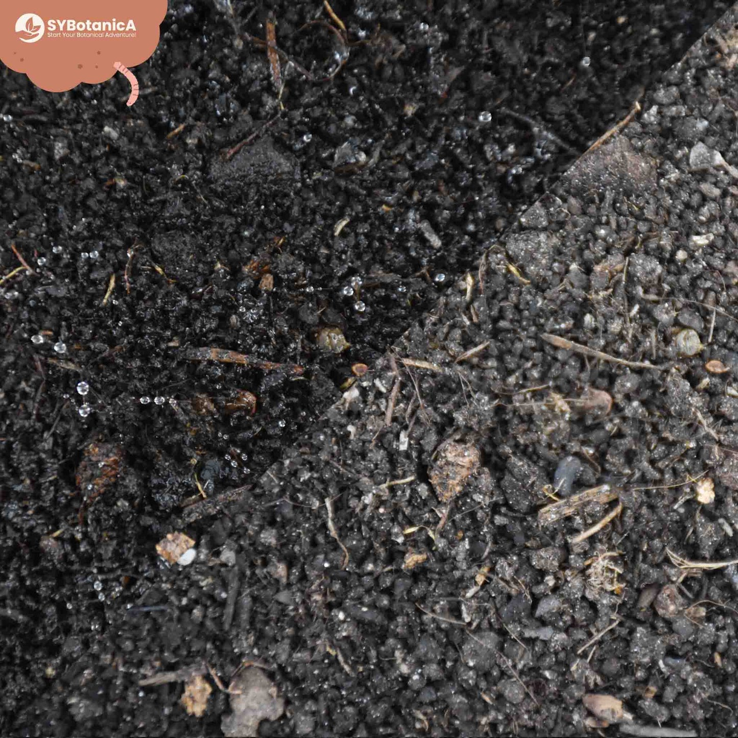 Nærbillede af økologisk ormekompost