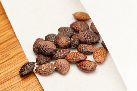 De flotte frø fra Majpop (Passiflora incarnata) i lille hvid papirspose