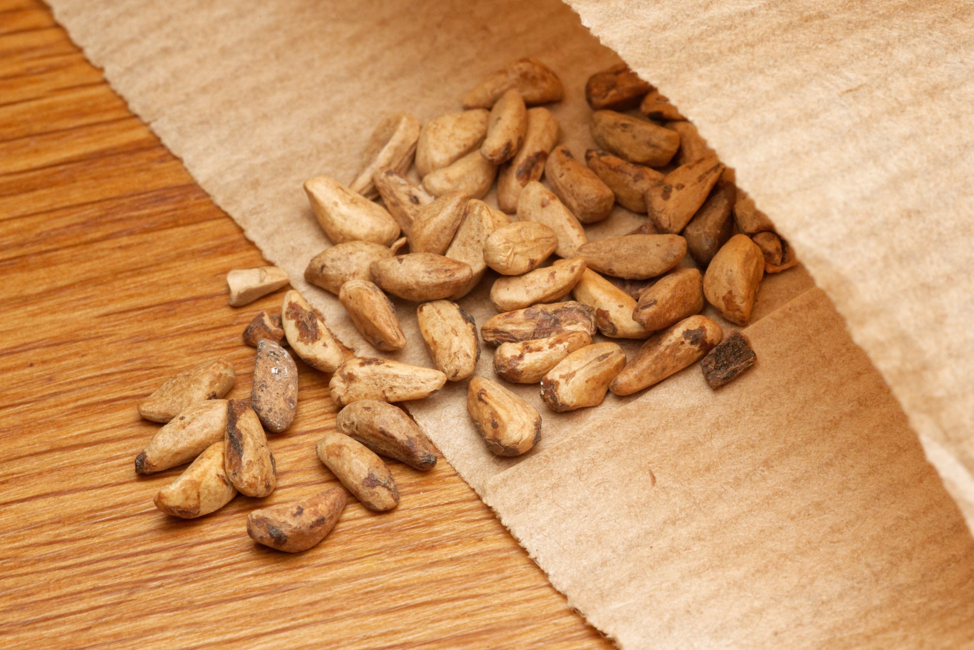 Frø fra Granatæble (Punica granatum)