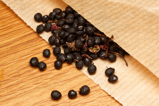 De runde sorte frø af Sichuan peber (Zanthoxylum simulans)