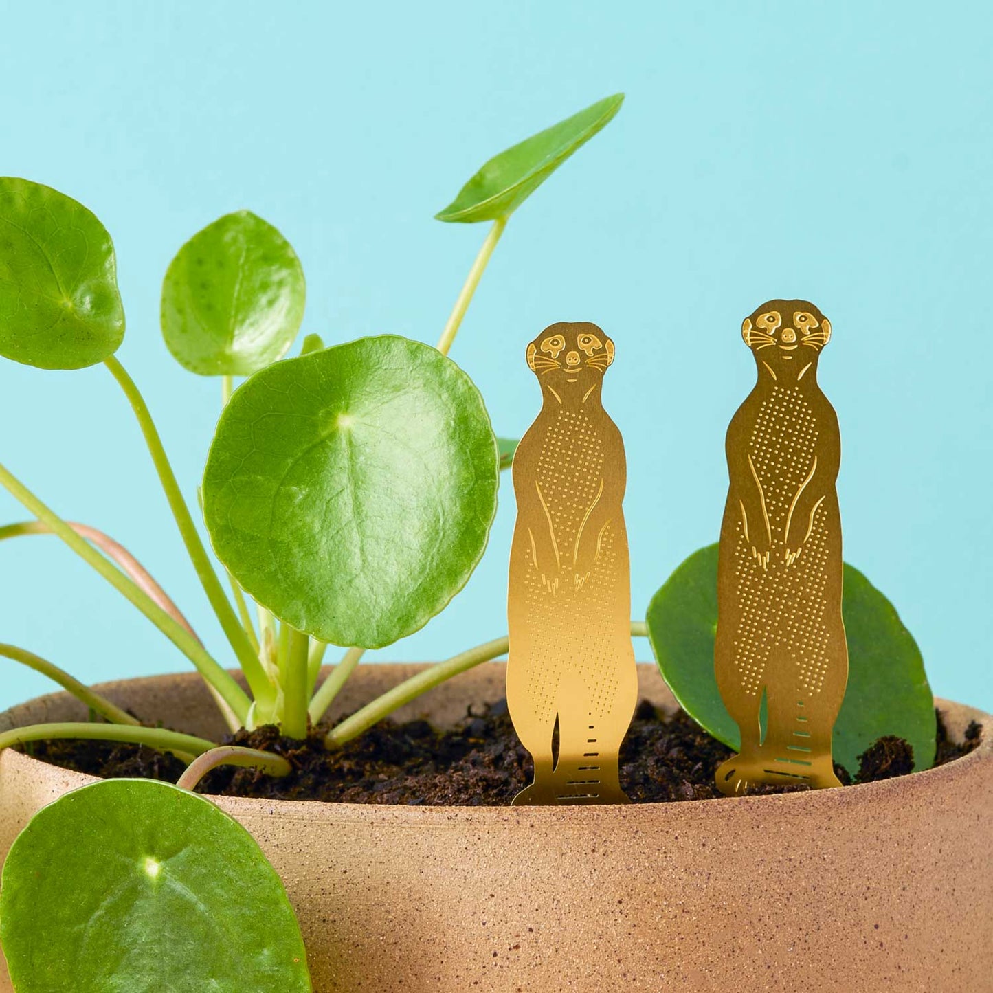 Et par surikater i messing, der sidder i en potteplante