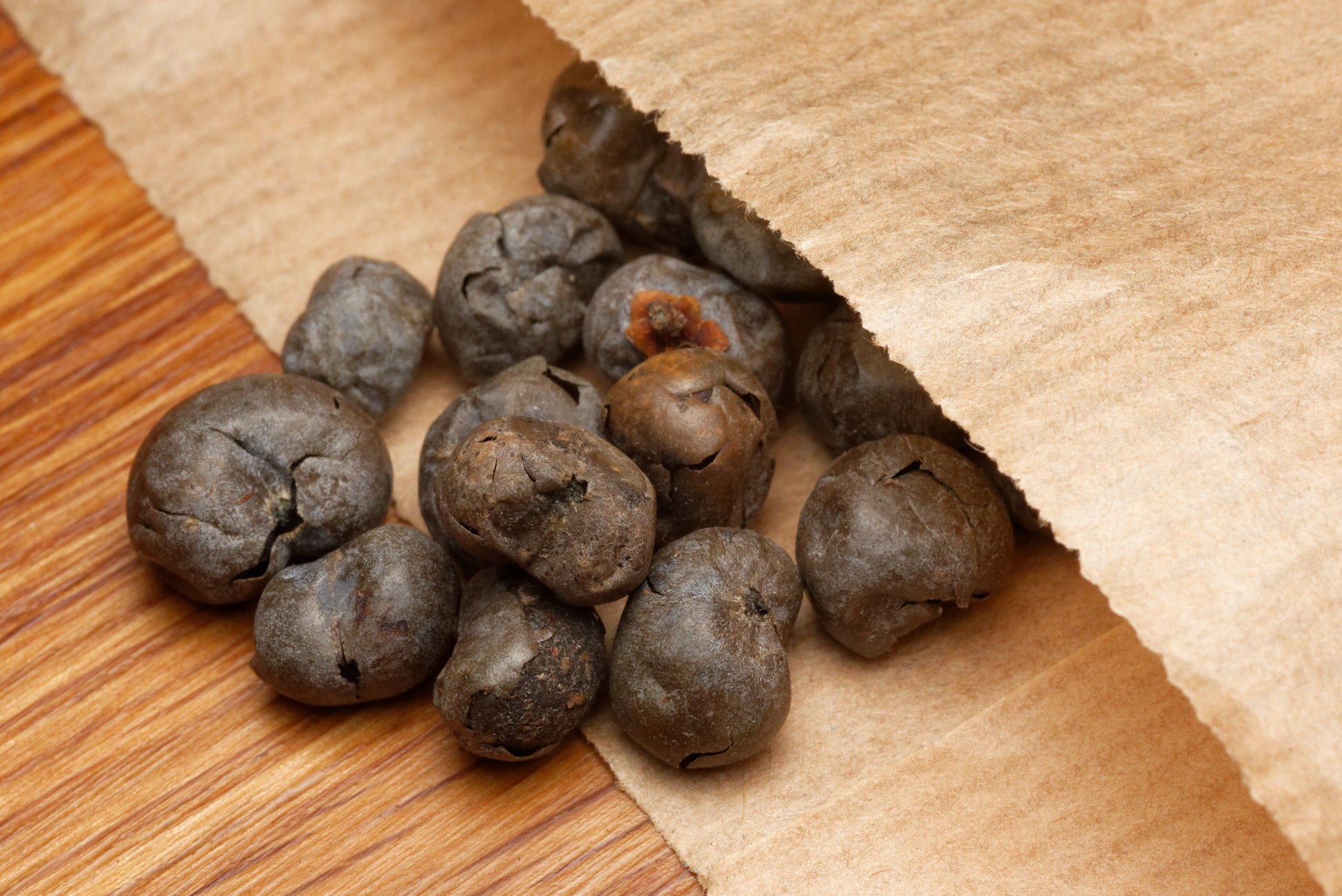 Pose med frø af Hørpalme (Trachycarpus fortunei)