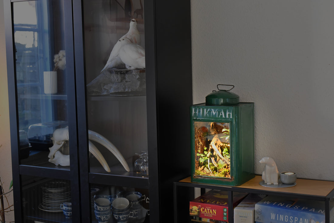Bioaktivt terrarium