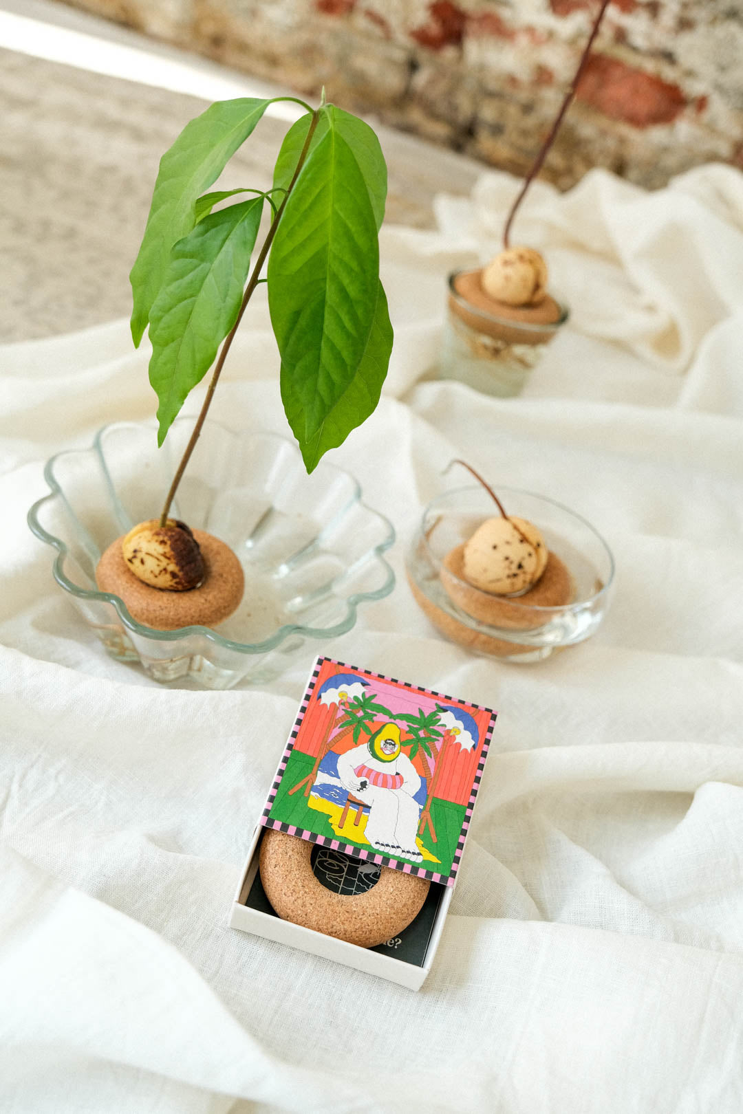 Avocado-flyder