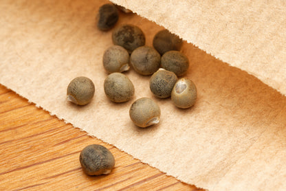 De flotte runde frø af Okra (Abelmoschus esculentus) i en brun papirspose