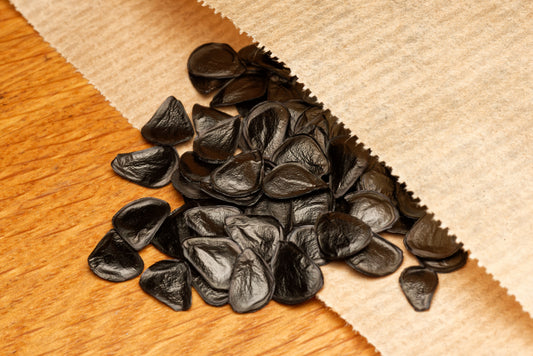 De smukke sorte frø af Amerikansk Agave (Agave americana) i en fin papirspose