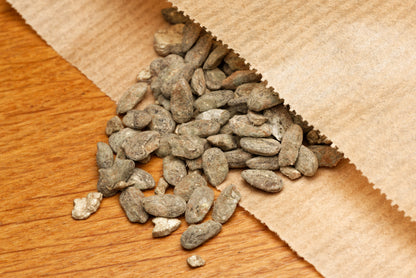 Monstera (Monstera dubia) frø