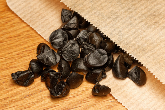 De smukke sorte frø af Strandliljen (Pancratium maritimum)