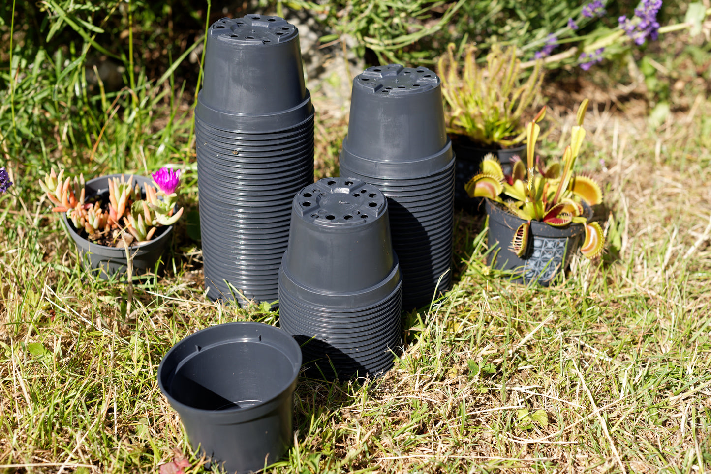 Sorte plastikpotter stablet oven på hinanden med lidt planter i baggrunden
