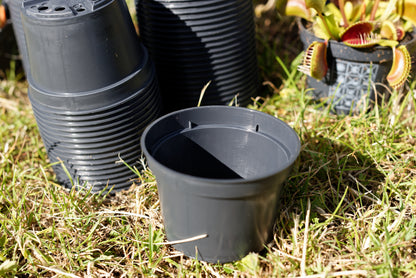 Nærbillede af en enkelt sort plastikpotte på 9 cm i diameter