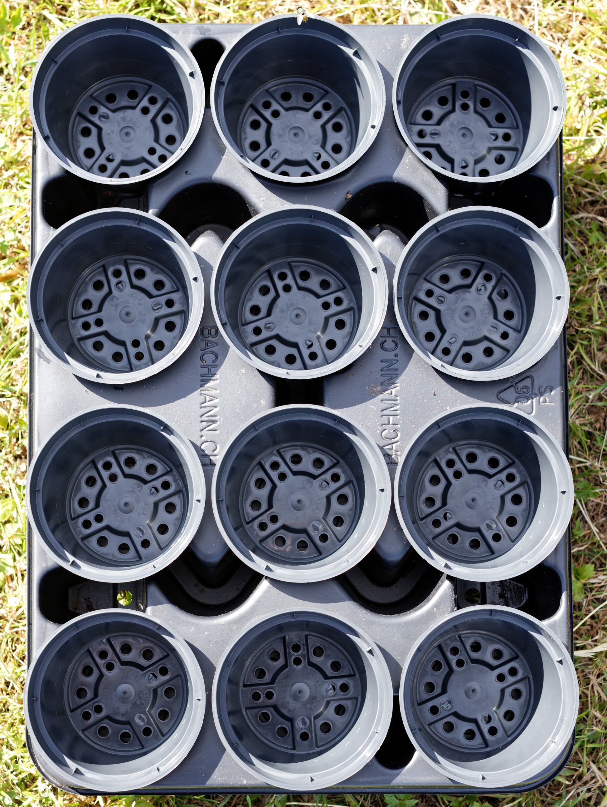 Bakke med 12 sorte plastikpotter set oppefra
