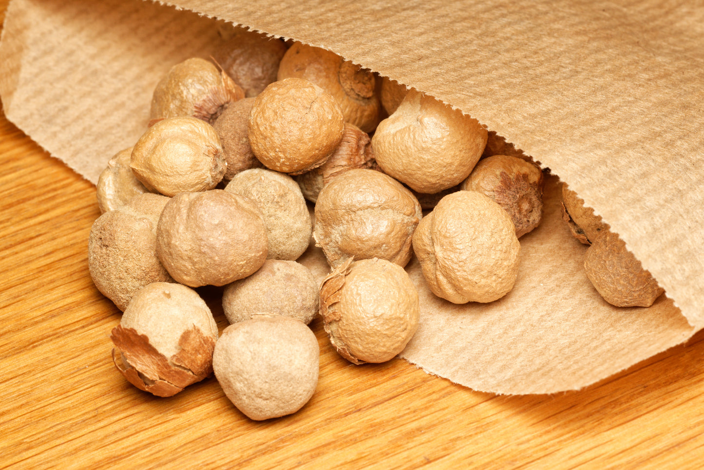 Frø af Teaktræ (Tectona grandis) i en brun papirspose